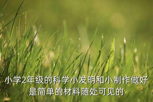 小學(xué)2年級的科學(xué)小發(fā)明和小制作做好是簡單的材料隨處可見的