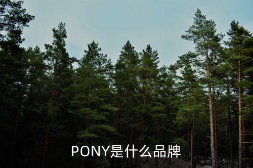 PONY是什么品牌