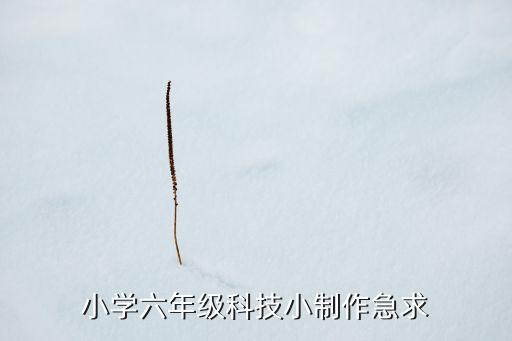 小學六年級科技小制作急求