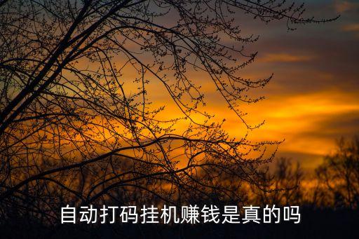掛機(jī)自動(dòng)掙錢，自動(dòng)掛機(jī)賺錢 是什么意思