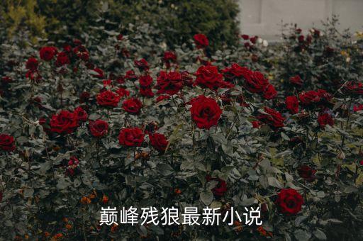 巔峰殘狼最新小說