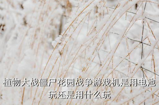 植物大戰(zhàn)僵尸花園戰(zhàn)爭(zhēng)游戲機(jī)是用電池玩還是用什么玩