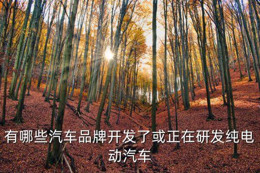 有哪些汽車品牌開發(fā)了或正在研發(fā)純電動(dòng)汽車