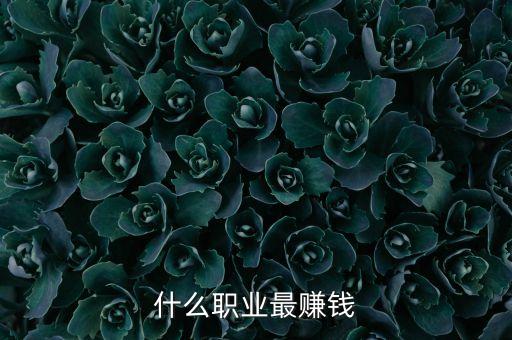 什么職業(yè)最賺錢(qián)