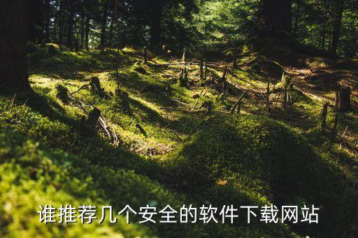 誰推薦幾個(gè)安全的軟件下載網(wǎng)站