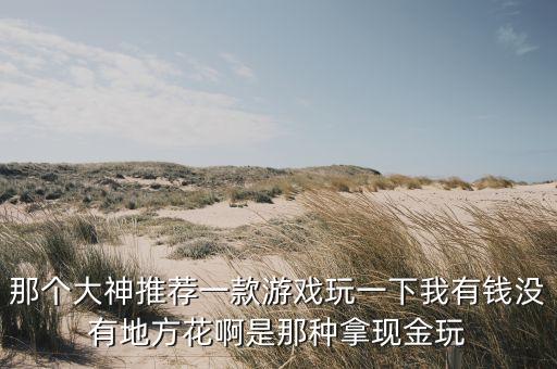 那個(gè)大神推薦一款游戲玩一下我有錢沒有地方花啊是那種拿現(xiàn)金玩