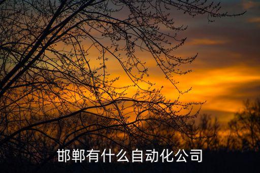 壁發(fā)自動化有限公司，最新賺錢的項目都有哪些