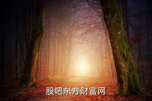 股吧東方財富網(wǎng)
