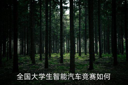 人工智能自動駕駛競技賽，飛思卡爾杯智能汽車競賽什么組最難