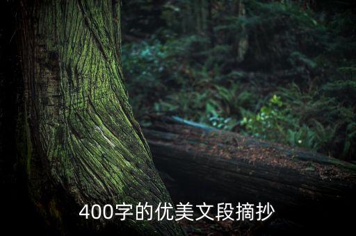 400字的優(yōu)美文段摘抄