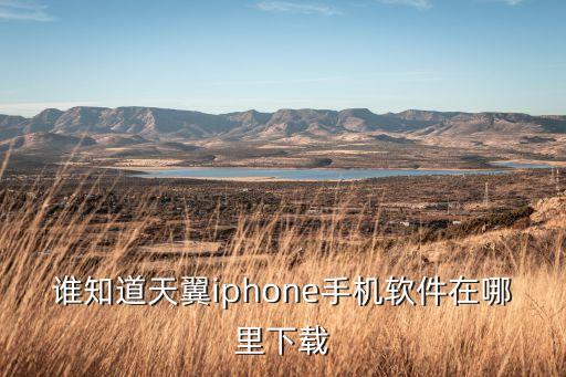 天行vapn蘋果下載，手機(jī)助手iphone版官方下載手機(jī)助手安卓版下載安裝