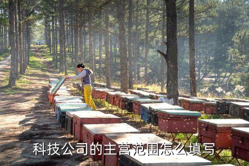 科技公司的主營(yíng)范圍怎么填寫(xiě)
