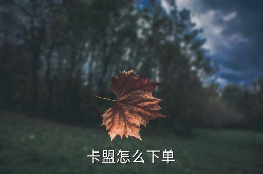 卡盟怎么下單