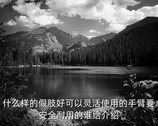 什么樣的假肢好可以靈活使用的手臂要安全耐用的誰給介紹