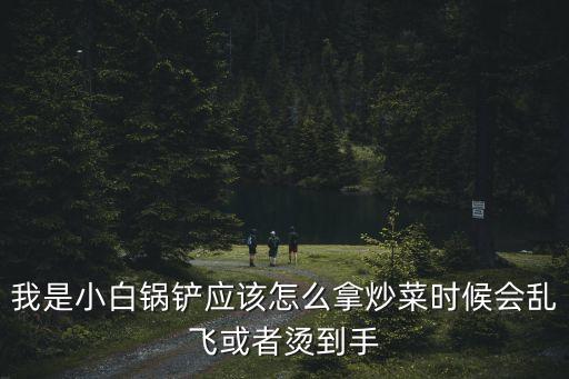 我是小白鍋鏟應(yīng)該怎么拿炒菜時(shí)候會(huì)亂飛或者燙到手