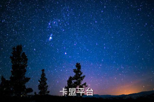 卡盟自助下單平臺(tái) 業(yè)務(wù)冰墩墩，卡盟平臺(tái)