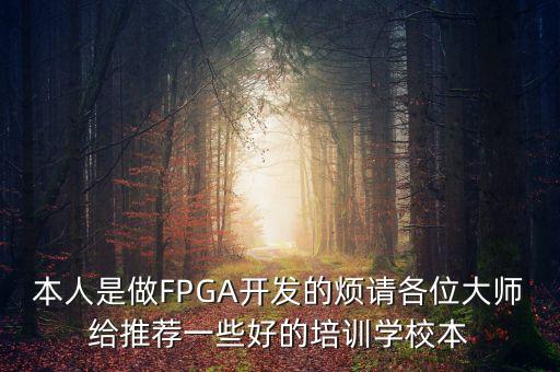 fpga培訓(xùn)，本人是做FPGA開(kāi)發(fā)的煩請(qǐng)各位大師給推薦一些好的培訓(xùn)學(xué)校本