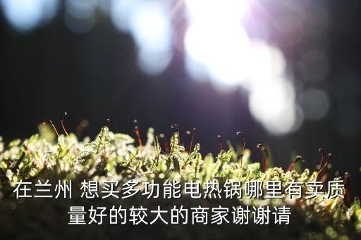 在蘭州 想買(mǎi)多功能電熱鍋哪里有賣(mài)質(zhì)量好的較大的商家謝謝請(qǐng)
