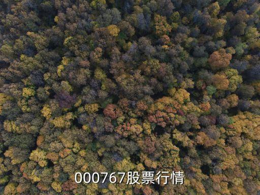 容百科技股票行情，000767股票行情