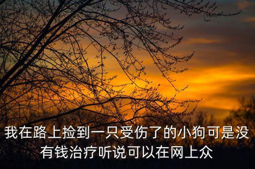 我在路上撿到一只受傷了的小狗可是沒有錢治療聽說可以在網(wǎng)上眾
