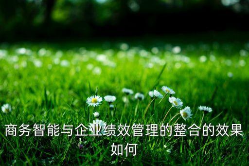 商務(wù)智能與企業(yè)績(jī)效管理的整合的效果如何