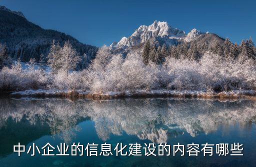 中小企業(yè)的信息化建設(shè)的內(nèi)容有哪些