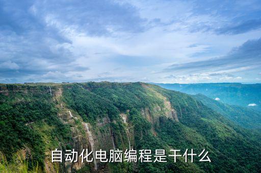自動化程序編程，自動化電腦編程是干什么