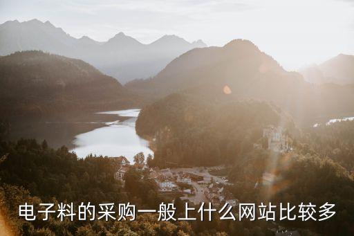 電子料的采購(gòu)一般上什么網(wǎng)站比較多