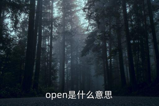 open是什么意思
