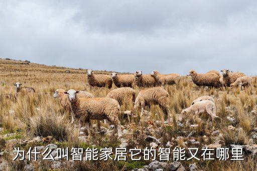 為什么叫智能家居它的智能又在哪里