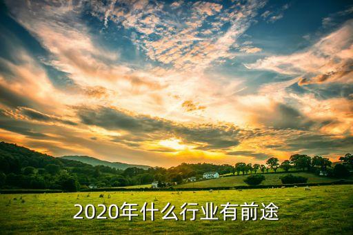 2020年什么行業(yè)有前途