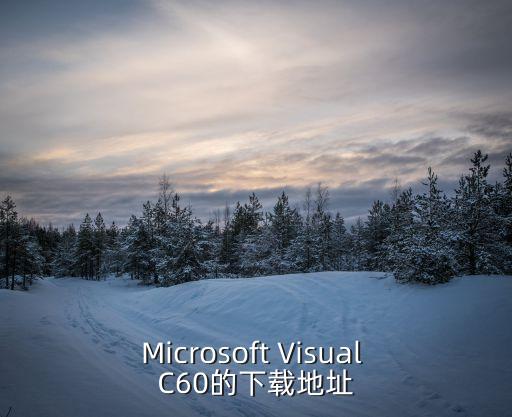 Microsoft Visual C60的下載地址