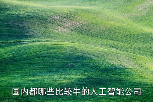 國內(nèi)都哪些比較牛的人工智能公司