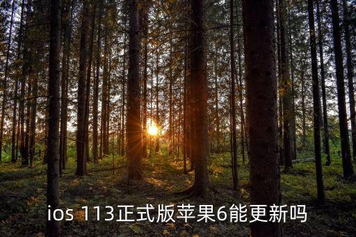 ios 113正式版蘋果6能更新嗎
