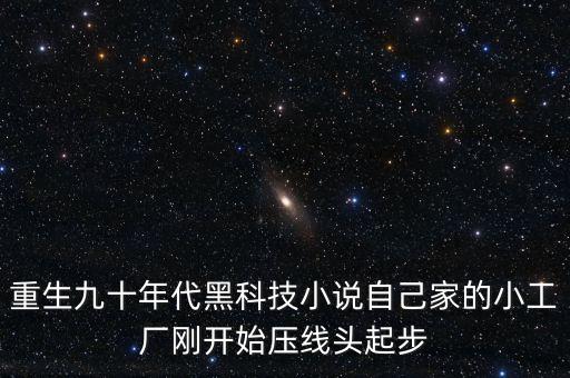 重生九十年代黑科技小說自己家的小工廠剛開始壓線頭起步