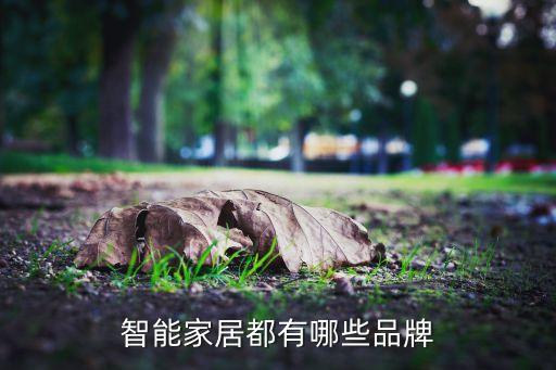 智能家居都有哪些品牌