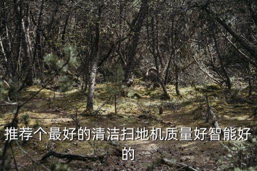 推薦個最好的清潔掃地機(jī)質(zhì)量好智能好的
