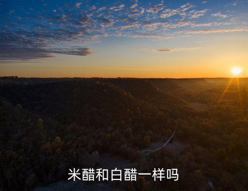 米醋是什么醋跟白醋一樣嗎，米醋和白醋一樣嗎
