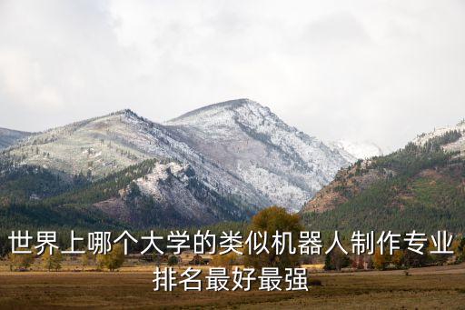 世界上哪個(gè)大學(xué)的類似機(jī)器人制作專業(yè)排名最好最強(qiáng)