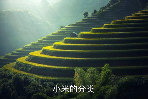 小米產品分類匯總，小米有哪些產品