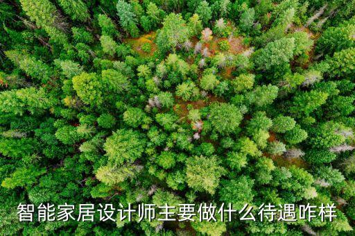 智能家居設(shè)計(jì)師主要做什么待遇咋樣