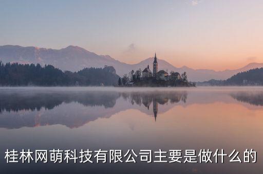 桂林網(wǎng)萌科技有限公司主要是做什么的