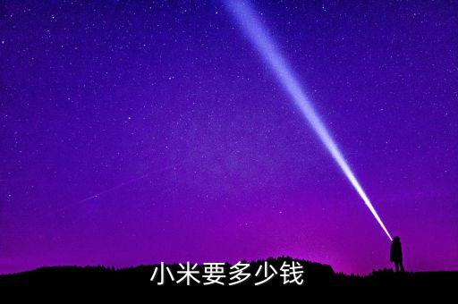 小米要多少錢
