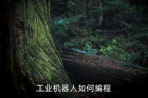 工業(yè)機(jī)器人如何編程