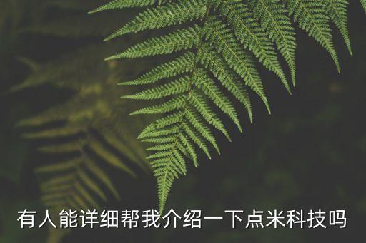 有人能詳細(xì)幫我介紹一下點(diǎn)米科技嗎