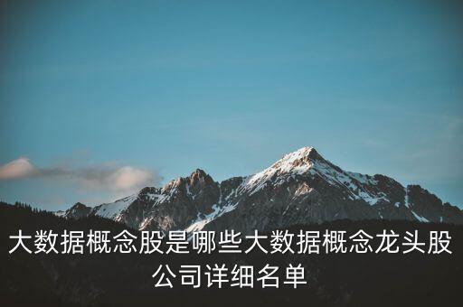 大數(shù)據(jù)概念股是哪些大數(shù)據(jù)概念龍頭股公司詳細(xì)名單
