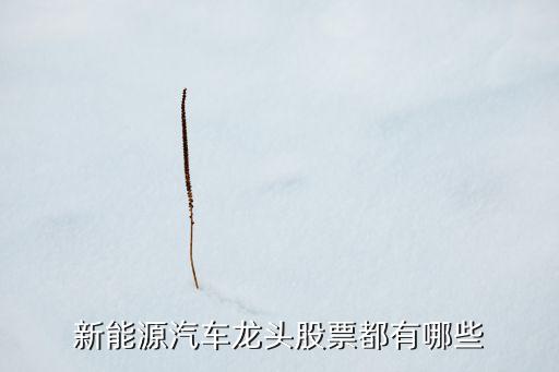 新能源汽車十大龍頭股，新能源汽車龍頭股票都有哪些