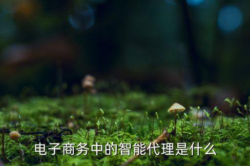 電子商務(wù)中的智能代理是什么