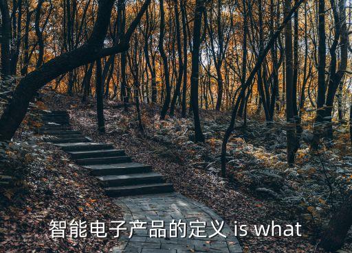 智能電子產(chǎn)品的定義 is what