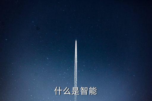 智能技術(shù)的定義是什么呢，什么是智能